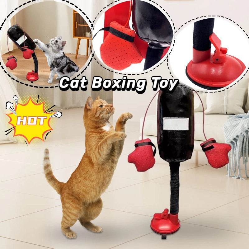Cat's Fitness Punching Toy