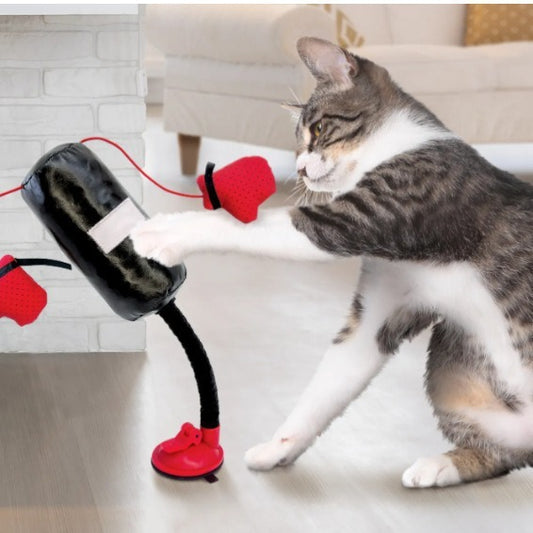 Cat's Fitness Punching Toy